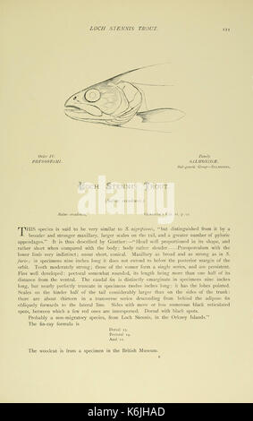 Les poissons d'eau douce britannique (page 121, Fig. dans le texte) BHL6175037 Banque D'Images