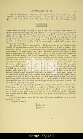 Les poissons d'eau douce britannique (page 137, Fig. dans le texte) BHL6175062 Banque D'Images