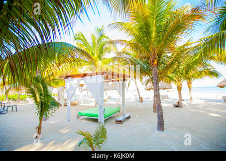 Des chaises longues sous un parasol sur la plage de sable Banque D'Images