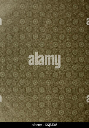 Ce livre, 'Die Gross Schmetterlinge der Erde', se concentre sur les grands papillons du monde, offrant des illustrations détaillées et des descriptions de diverses espèces. Banque D'Images