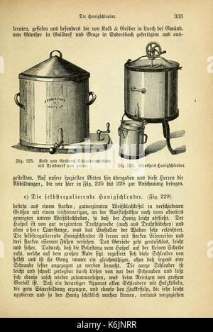 Das Buch von der biene (page 333) BHL11474299 Banque D'Images