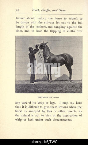 Trottoir, snaffle, et spur (page 26) BHL18283597 Banque D'Images