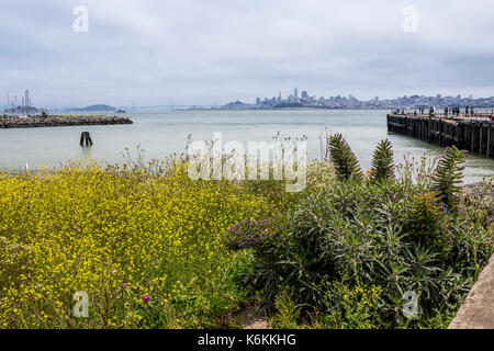 La flore, la végétation, personnes, vue en direction de San Francisco à partir de fort baker, fort Baker, de la ville de Sausalito, comté de marin, en Californie, États-Unis Banque D'Images