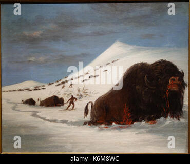 Chasse au bison en raquettes par George Catlin, non daté, huile sur toile New Britain Museum of American Art DSC09169 Banque D'Images