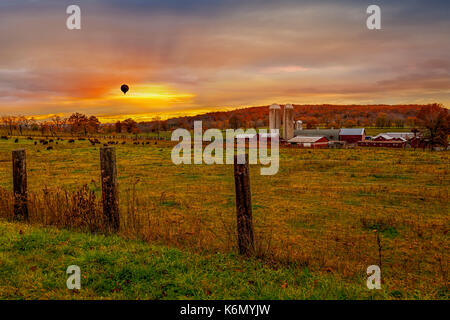 Buffalo - Coucher du soleil à la ferme des granges et des silos à grains rouges avec des buffles dans le domaine d'alimentation, un ballon à air chaud et de la montagne dans l'arrière-plan avec fa Banque D'Images