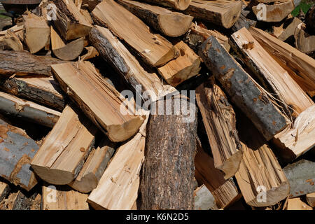 Gros tas de bois coupé et séchant au soleil dans la région de spéculateur, New York, NY USA Banque D'Images