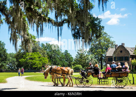 Charleston Caroline du Sud,Middleton place,Ashley River,plantation de riz,antebellum,1730,jardin,calèche,guide,SC170514200 Banque D'Images