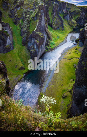 Fjaðrárgljúfur est un canyon dans le sud-est de l'Islande qui est jusqu'à 100 m de profondeur et à environ 2 kilomètres de long, avec la rivière qui coule à travers elle Fjaðrá .Le Banque D'Images