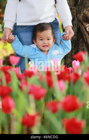 Asian boy si heureux dans le jardin de tulipes rouges,concept de mignon et lumineux des enfants. Banque D'Images