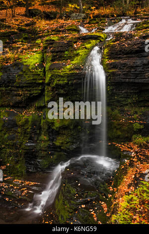 Fulmer Falls George W.Childs Park - cascade cascade Fulmer est la deuxième cascade le long du ruisseau Dingmans. Il fait partie de la Delaware Water Banque D'Images