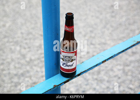 Menton, France - 14 mai 2016 : bouteille de bière Budweiser sur une clôture métallique bleu, de la plage à l'arrière-plan Banque D'Images