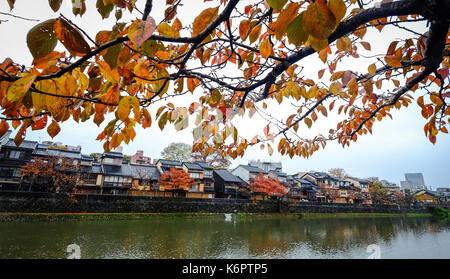 Les arbres d'automne sur les bords de la rivière à jour de pluie à Kyoto, au Japon. a servi de capitale de Kyoto au Japon et l'empereur residence de 794 jusqu'en 1868. Banque D'Images