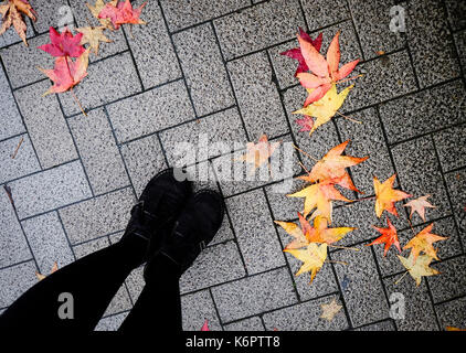 Chaussures pieds marchant dans la nature de l'automne à Kyoto, au Japon. Banque D'Images