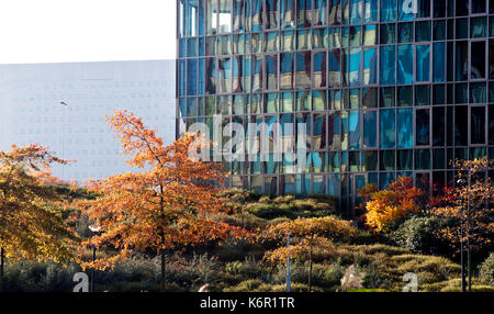 Belle combinaison d'arbres en automne et un immeuble de bureaux contemporain avec un vieux bâtiment en béton à l'arrière-plan Banque D'Images