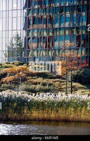 Belle combinaison d'arbres en automne et un immeuble de bureaux contemporain Banque D'Images