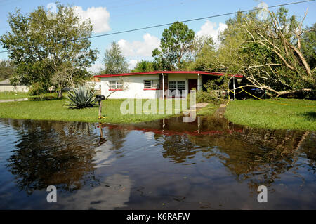 Orlando, united states. 12 sep, 2017. un arbre est vu appuyé contre une maison dans le quartier d'orlo Vista Orlando, Floride le 12 septembre 2017, qui est devenu inondées pendant les heures tôt le matin du 11 septembre que l'ouragan irma adopté par la région. La garde nationale et Orange county fire le personnel de sauvetage a secouru 151 résidents de maisons qui avaient jusqu'à 4 pieds d'eau en eux. 550 maisons ont été endommagées. crédit : Paul Hennessy/Alamy live news Banque D'Images