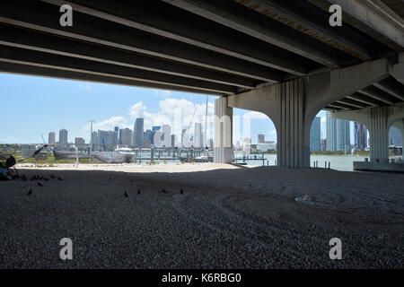 MIAMI BEACH, FL - 13 SEPTEMBRE : (COUVERTURE EXCLUSIVE) ***AUCUN DAILIES NY*** ***USAGE ÉDITORIAL SEULEMENT*** ***USAGE ÉDITORIAL SEULEMENT*** l'homme sans abri est reconnaissant de retourner à sa maison sous le pont de Miami pour être avec ses amis pigeon après qu'il a dû aller à un abri pour éviter l'ouragan Irma de catégorie 5 extrême le 13 septembre 2017 à Miami Beach, Florida People: Sans-abri Man Credit: Mp122/MediaPunch Banque D'Images