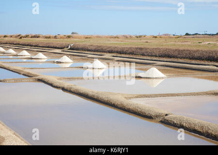 Champs de sel traditionnel sur l'île de Noirmoutier, france Banque D'Images