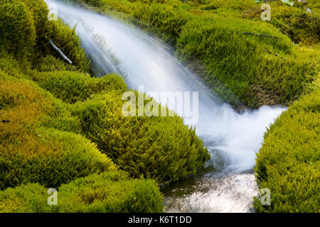 Petite cascade au milieu des roches couvertes de mousse Banque D'Images