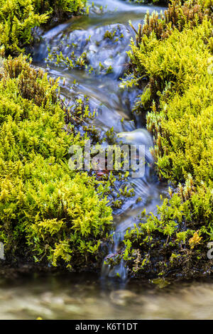 Petit ruisseau au milieu des roches couvertes de mousse Banque D'Images