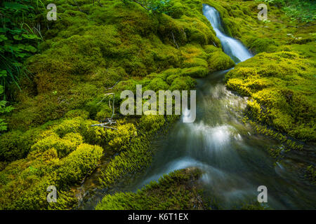 Petite cascade au milieu des roches couvertes de mousse Banque D'Images