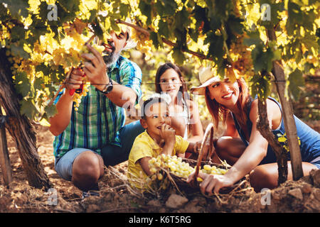 Belle jeune smiling family de quatre raisins coupe dans un vignoble. Banque D'Images