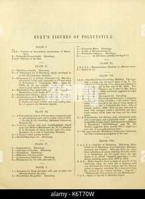 Les figures de formes remarquables de polycystins, ou des organismes apparentés, à la Barbade (principalement à partir de la craie-que recueillies par M. Davy, et qu'il avait remarqué dans une conférence donnée à la BHL9997853 Banque D'Images