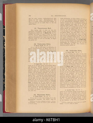(Page 302 droits schmetterlinge) BHL40070659 Banque D'Images