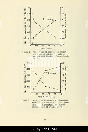 Effets de matières en suspension sur le plancton estuariens sélectionnés (page 14) BHL32359361 Banque D'Images