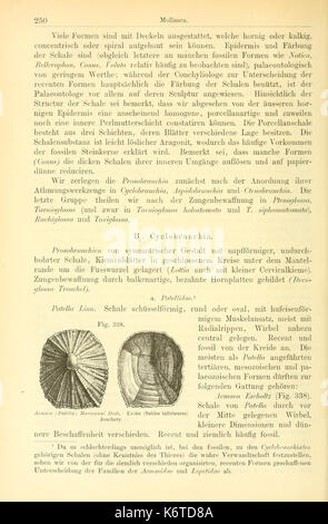 Elemente der paleontologie (page 250, fig. 338) BHL14893977 Banque D'Images