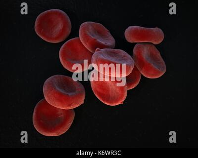 Extreme close-up topographique au microscope électronique à balayage (SEM) de l'oxygénation des globules rouges (érythrocytes) entassés sur fond de surface gris foncé. Banque D'Images