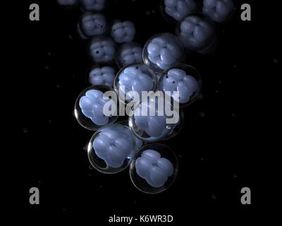 Représentation artistique de la division cellulaire et de la mitose dans la réplication de l'ADN et de cellules. Banque D'Images