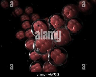 Représentation artistique de la division cellulaire et de la mitose dans la réplication de l'ADN et de cellules. Banque D'Images