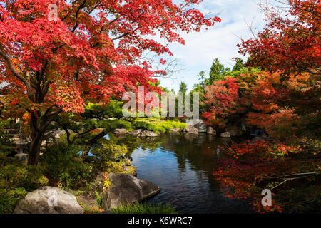 Koko-en garden avec les couleurs de l'automne près du petit étang à himeji, Japon. ici est très célèbre pour voir les couleurs d'automne en novembre, Banque D'Images