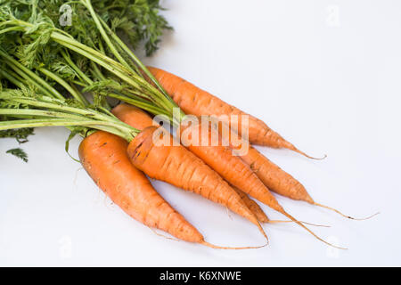 Un tas de carottes biologiques frais avec des feuilles isolées sur fond blanc Banque D'Images