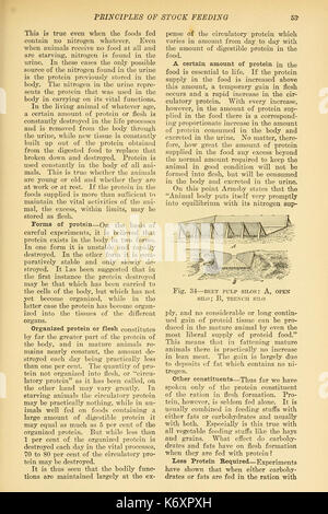 Farmer's Cyclopedia de live stock (page 53) BHL23726351 Banque D'Images