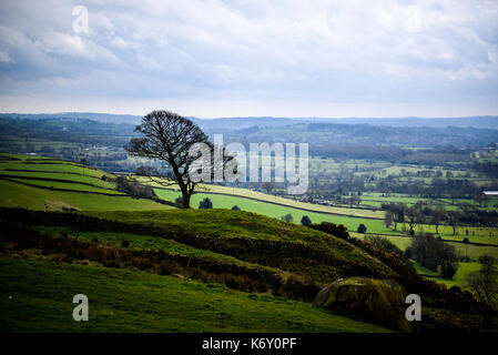 Vue vers le réservoir de tittiesworth les blattes Peak District, UK Banque D'Images