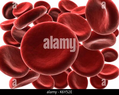 Close-up d'un groupe de globules rouges isolé sur fond blanc avec le flou de profondeur de champ. Banque D'Images