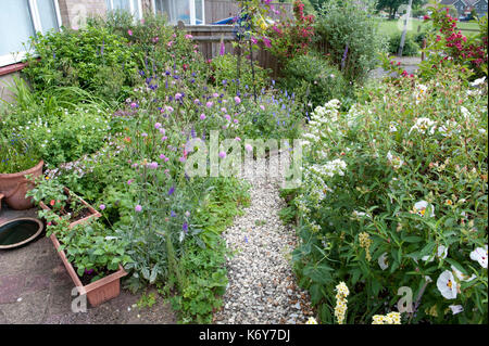 Jardin de la faune, Kent, UK, planté de fleurs et d'arbustes afin d'attirer divers oiseaux, insectes et autres animaux sauvages Banque D'Images