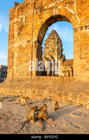 La Thaïlande, la province de Lopburi Lopburi, 13e siècle, Phra Prang Sam Yod temple, l'architecture khmère, est envahi par les macaques mangeurs de crabes ou de macaques à longue queue (Macaca fascicularis) Banque D'Images