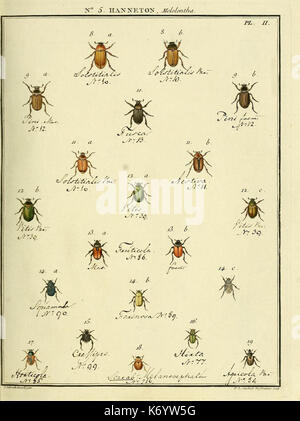 Entomologie, ou, Histoire naturelle des insectes (No. Hanneton 5 Pl. II) (8112655625)