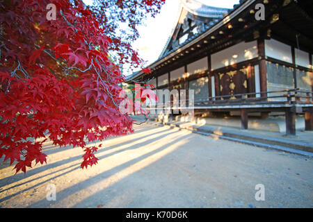 Vue d'automne au Japon Banque D'Images