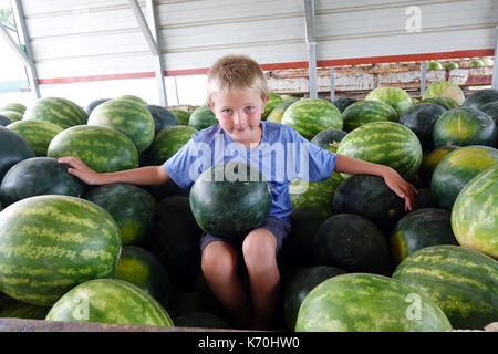 Les enfants aiment les pastèques ! Banque D'Images