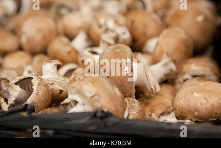 Un tas de faire revenir les champignons, les matières premières, dans un panier du marché agricole Banque D'Images