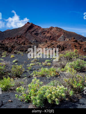 Los Volcanes de Teneguía, Fuencaliente, La Palma. Une vue sur le paysage aride autour du volcan jusqu'à la vers l'un des pics. Très peu de végétation, telles que l'Echium brevirame, est en mesure de se développer dans ce milieu difficile ce qui en fait un paysage très clairsemée. C'est une journée ensoleillée avec quelques nuages en mouvement rapide contraste avec le ciel bleu. Banque D'Images