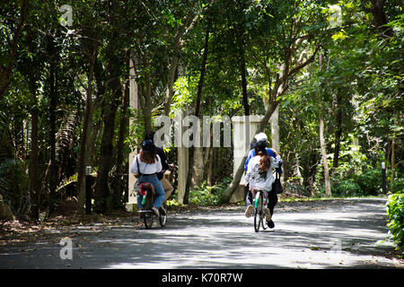 Les gens d'affaires de promenade et location au Sri nakhon khuean khan park et le jardin botanique ou khung Bang Kachao park le 9 août 2017 à p Banque D'Images