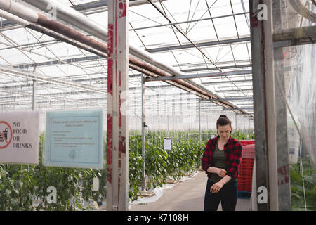 Young woman standing in greenhouse Banque D'Images