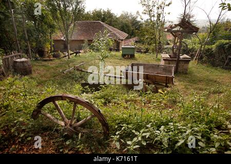 La Serbie, Rogljevo, Serbie grâce à deux français l'un des plus anciens vignobles de l'Europe renoue avec une tradition vieille de quinze siècles. Au xixe siècle le village de Rogljevo vin exporté dans toute l'Europe. En 1864 payé à golden napoléons ce vin serbe est décerné dans les expositions internationales et a été servi au château de Versailles puis plus tard sur le Titanic. Les caves de Rogljevo construit en pierre sont inscrits sur la liste des entités culturelles et historiques d'exception de la Serbie et ont été présentés pour une inscription au Patrimoine Mondial de l'UNESCO Banque D'Images