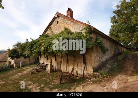 La Serbie, Rogljevo, les caves de Rogljevo Banque D'Images