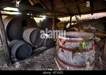 La Serbie, Rogljevo, Serbie grâce à deux français l'un des plus anciens vignobles de l'Europe renoue avec une tradition vieille de quinze siècles. Au xixe siècle le village de Rogljevo vin exporté dans toute l'Europe. En 1864 payé à golden napoléons ce vin serbe est décerné dans les expositions internationales et a été servi au château de Versailles puis plus tard sur le Titanic. Les caves de Rogljevo construit en pierre sont inscrits sur la liste des entités culturelles et historiques d'exception de la Serbie et ont été présentés pour une inscription au Patrimoine Mondial de l'UNESCO Banque D'Images